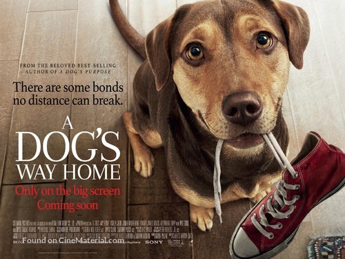 A Dog&#039;s Way Home - British Movie Poster