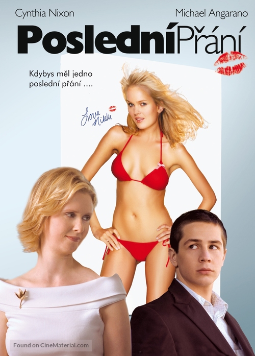 One Last Thing... - Czech DVD movie cover