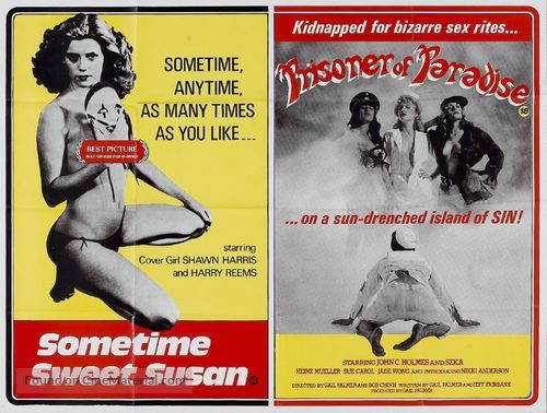 Sometime Sweet Susan - Combo movie poster