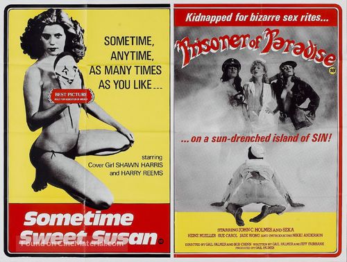 Sometime Sweet Susan - Combo movie poster