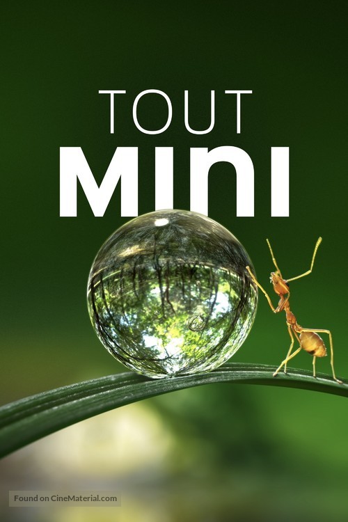 &quot;Tiny World&quot; - French Movie Cover