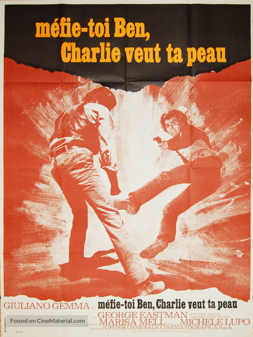Amico, stammi lontano almeno un palmo - French Movie Poster