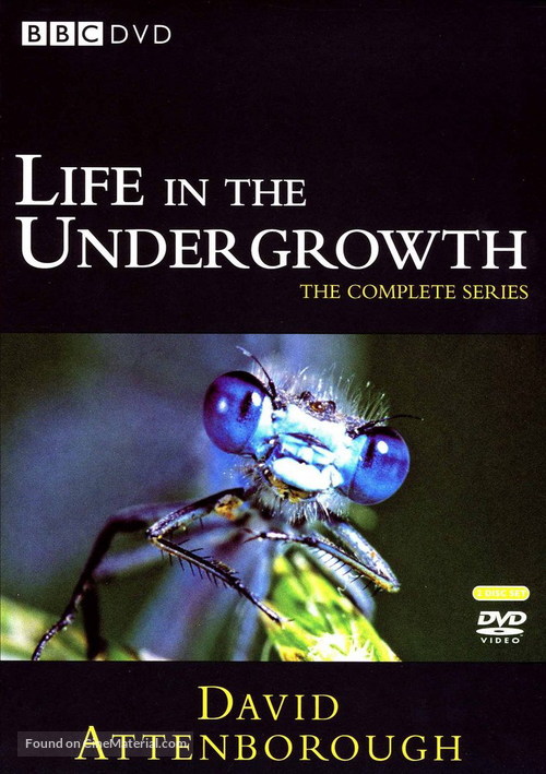 &quot;Life in the Undergrowth&quot; - DVD movie cover