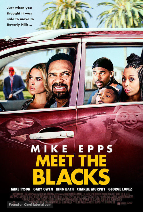 Meet the Blacks - Movie Poster