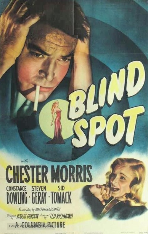 Blind Spot - Movie Poster
