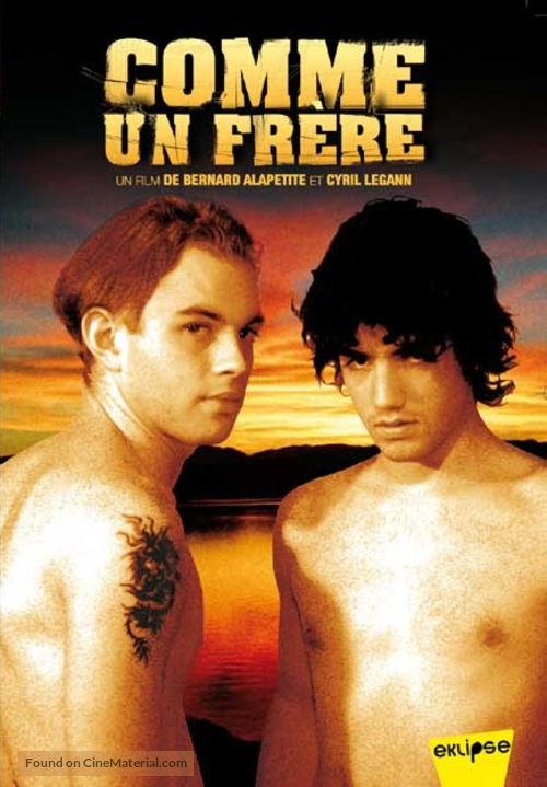 Comme un fr&egrave;re - French Movie Cover