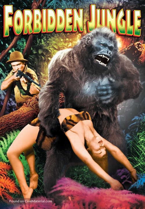 Forbidden Jungle - DVD movie cover