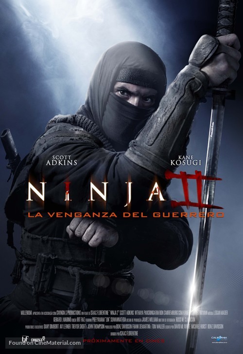 Ninja: Shadow of a Tear - Peruvian Movie Poster