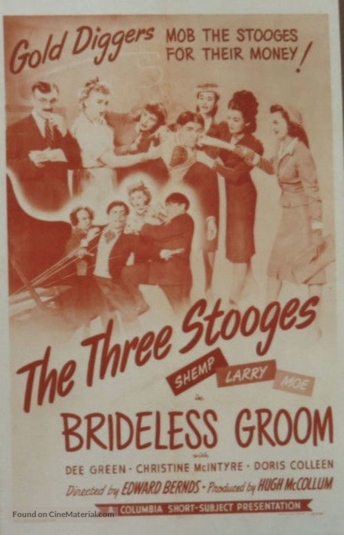 Brideless Groom - Movie Poster
