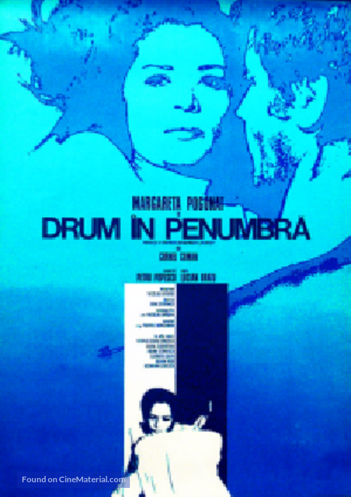 Drum &icirc;n penumbra - Romanian Movie Poster