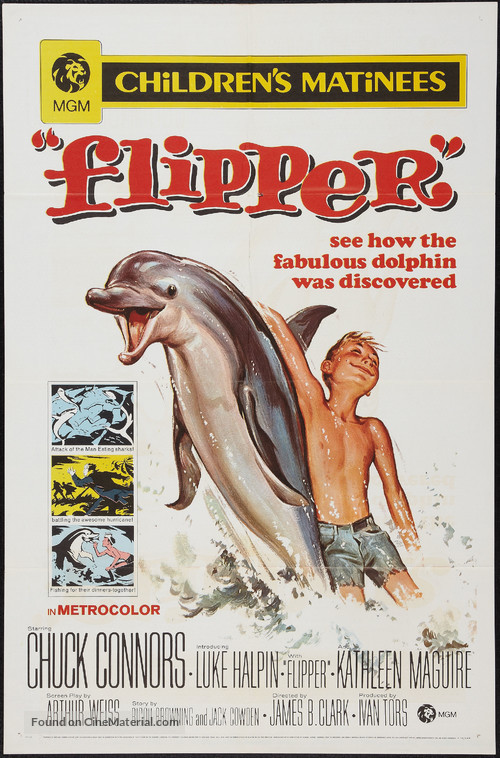 Flipper - Movie Poster