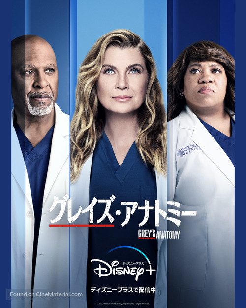 &quot;Grey&#039;s Anatomy&quot; - Japanese Movie Poster