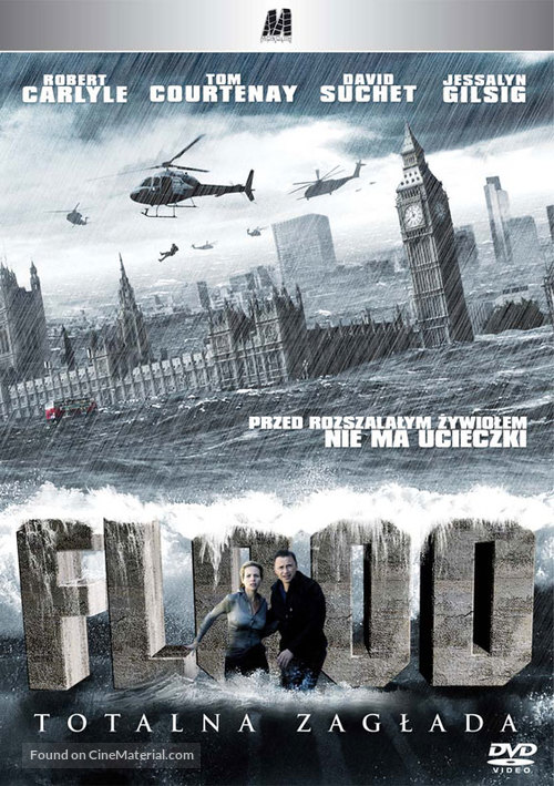 Flood - Polish Movie Cover