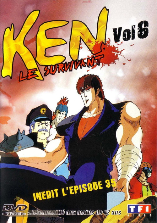 &quot;Hokuto no Ken&quot; - French DVD movie cover