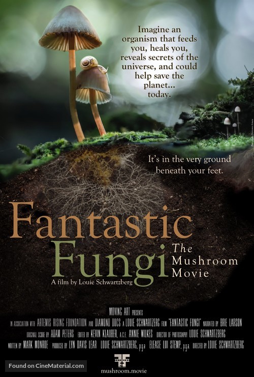 Fantastic Fungi - Movie Poster