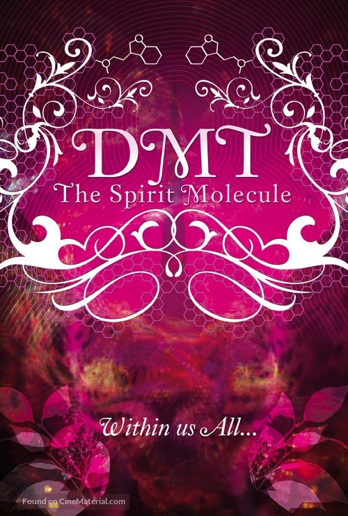 DMT: The Spirit Molecule - Movie Poster