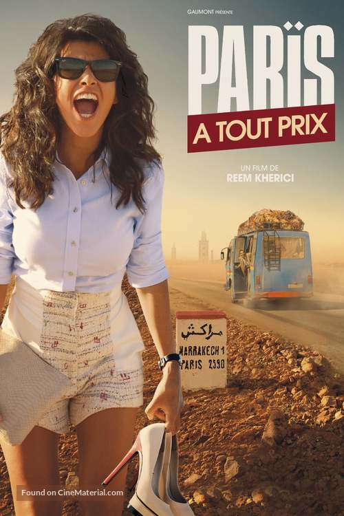 Paris &agrave;&nbsp; tout prix - French Movie Cover