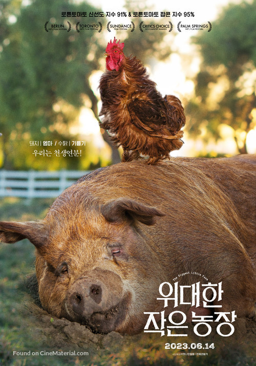 The Biggest Little Farm - South Korean Movie Poster