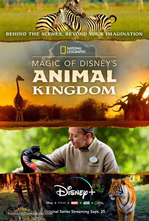 &quot;Magic of Disney&#039;s Animal Kingdom&quot; - Movie Poster