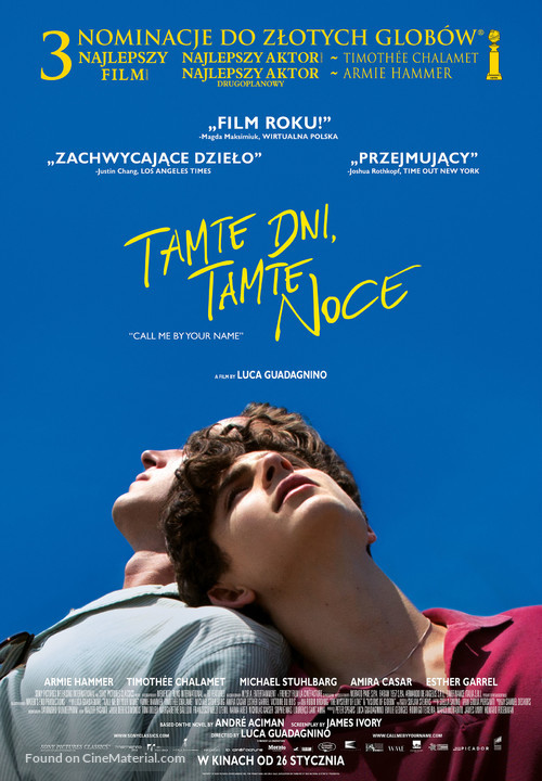 Call Me by Your Name - Polish Movie Poster