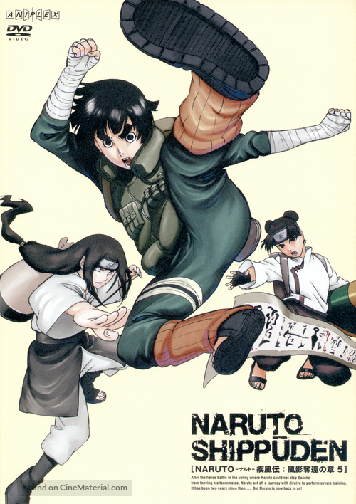 &quot;Naruto: Shipp&ucirc;den&quot; - Japanese DVD movie cover