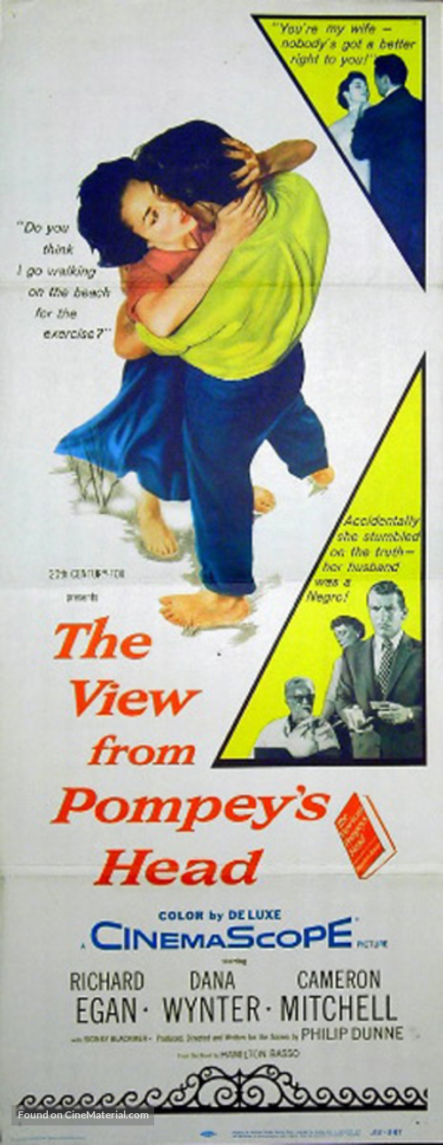 The View from Pompey&#039;s Head - Movie Poster