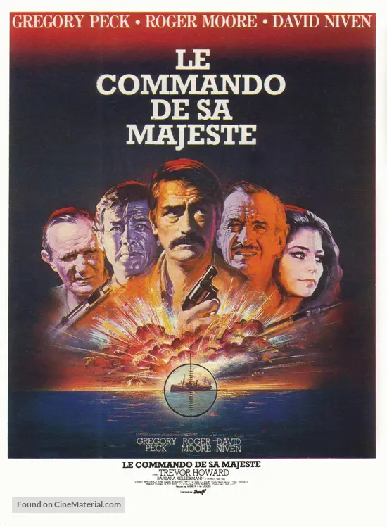 The Sea Wolves (1980) French movie poster