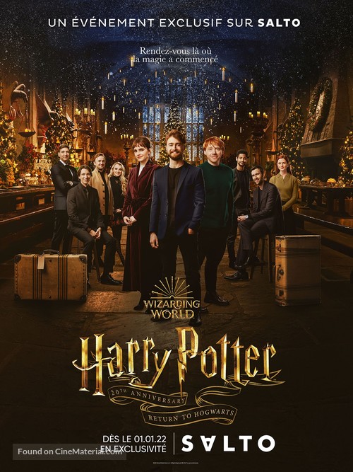 Harry Potter 20th Anniversary: Return to Hogwarts - French Movie Poster