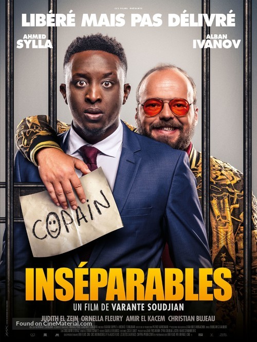 Ins&eacute;parables - French Movie Poster