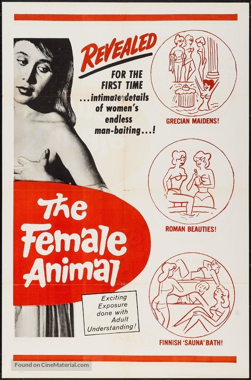 Mujer del gato, La - Movie Poster