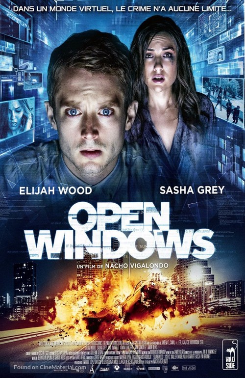 Open Windows - French DVD movie cover