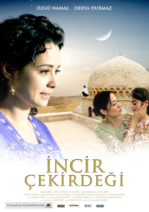 Incir &ccedil;ekirdegi - Turkish Movie Poster