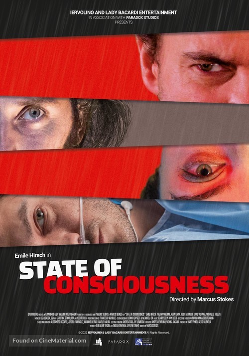 State of Consciousness - International Movie Poster