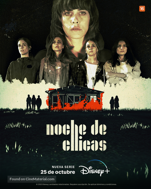 &quot;Noche de Chicas&quot; - Spanish Movie Poster