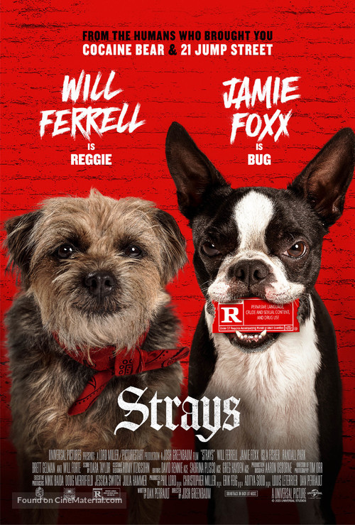 Strays - Movie Poster