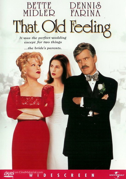 That Old Feeling - DVD movie cover