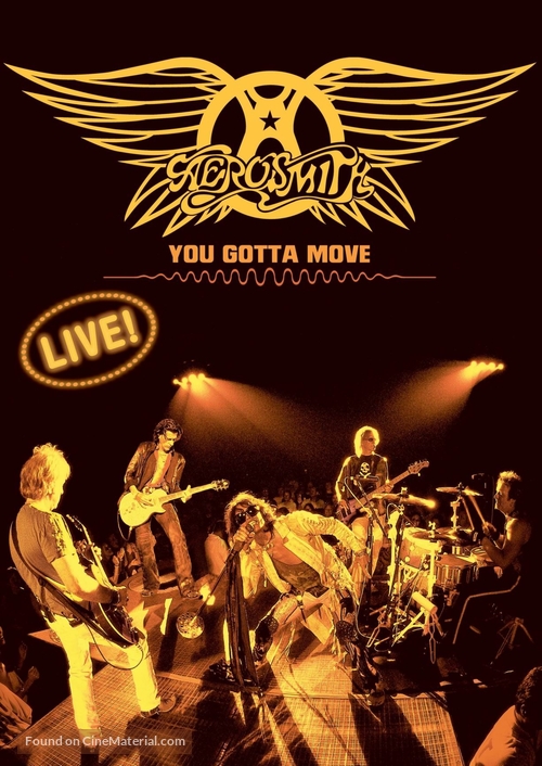 Aerosmith: You Gotta Move - DVD movie cover