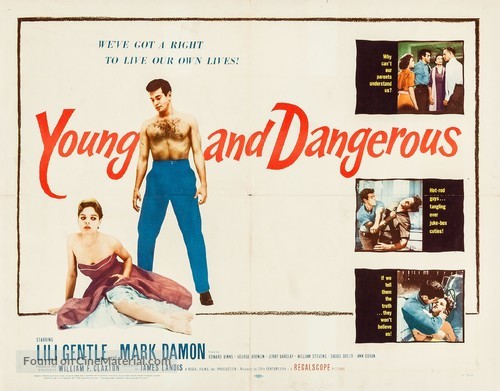 Young and Dangerous - Movie Poster