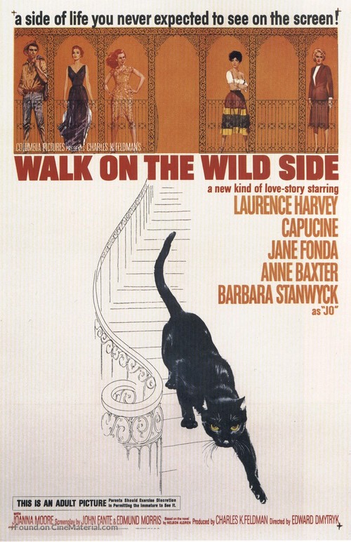 Walk on the Wild Side - Movie Poster