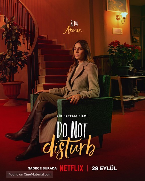 Do Not Disturb: Ayzek ile Bir Gece - Turkish Movie Poster