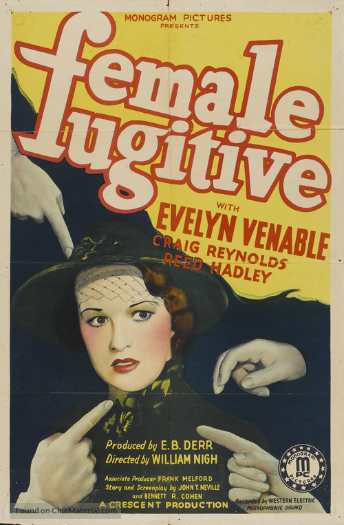 Female Fugitive - Movie Poster