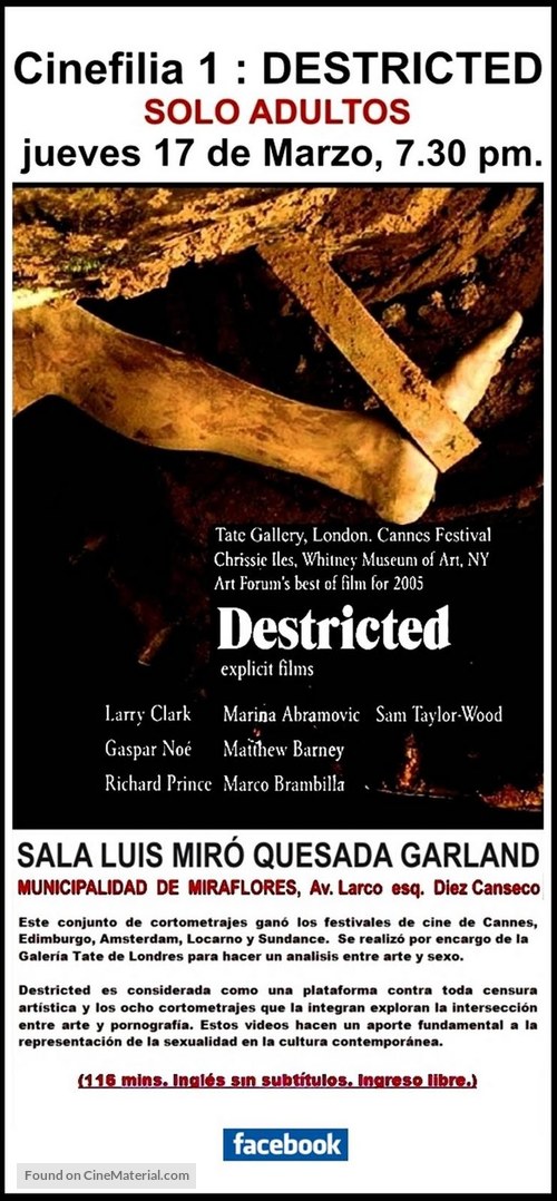 Destricted - Peruvian Movie Poster