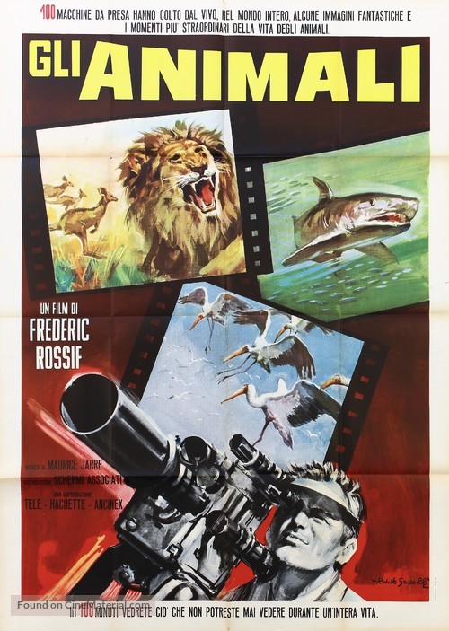 Les animaux - Italian Movie Poster