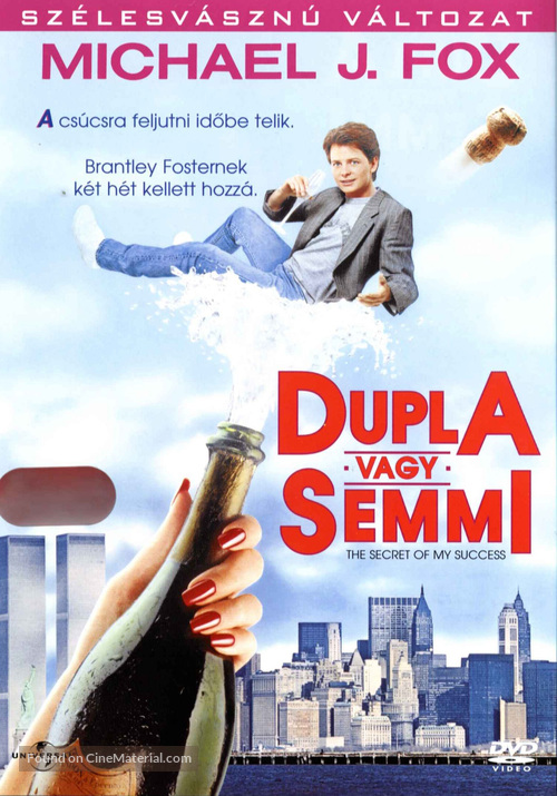 The Secret of My Success - Hungarian Movie Cover