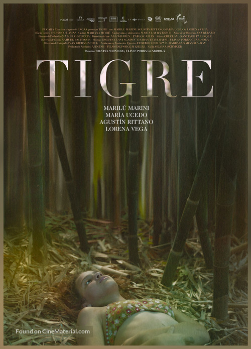 Tigre - Argentinian Movie Poster