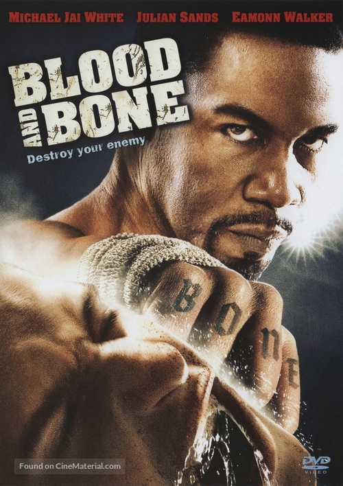 Blood and Bone - DVD movie cover