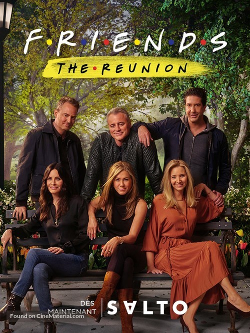 Friends The Reunion - French Movie Poster