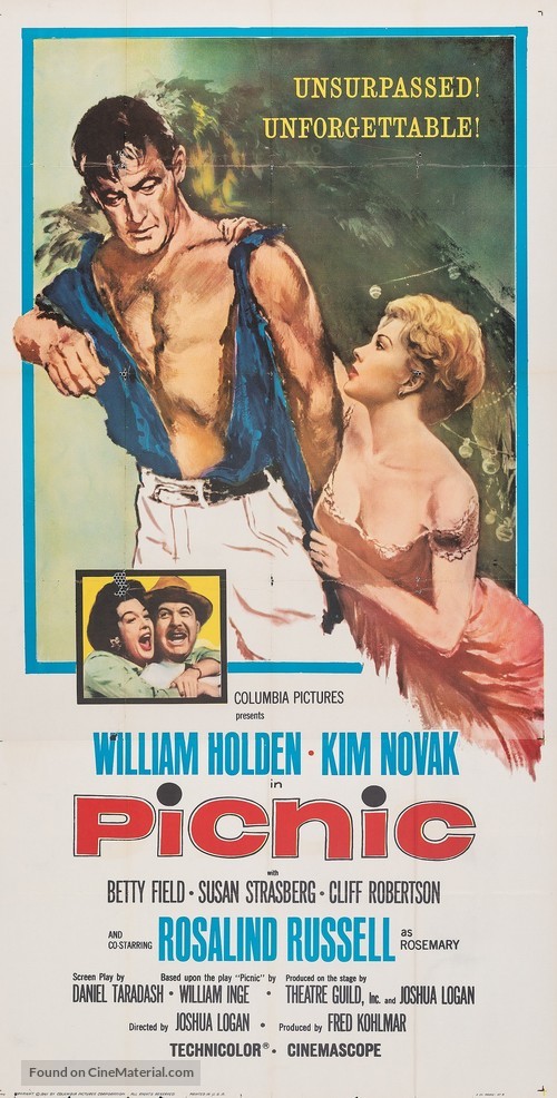 Picnic - Movie Poster