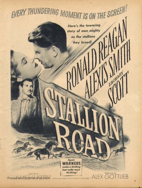 Stallion Road - poster