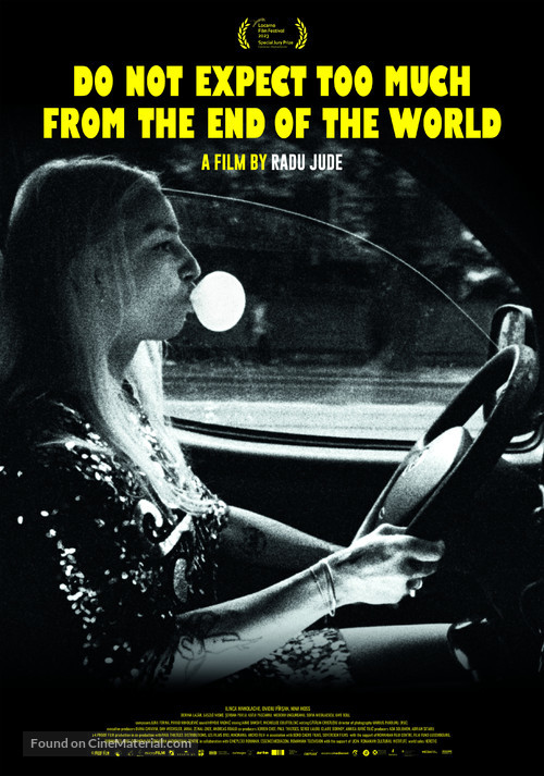 Do Not Expect Too Much from the End of the World - Swiss Movie Poster